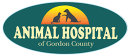 Link to Homepage of Animal Hospital of Gordon County